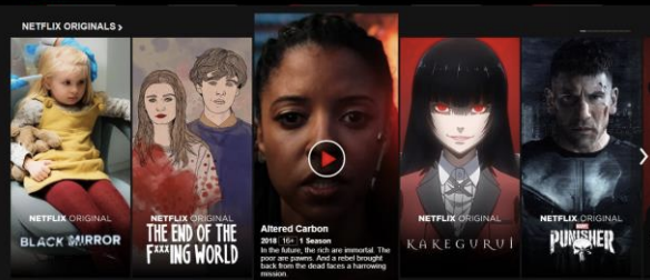 Sample website used for the model