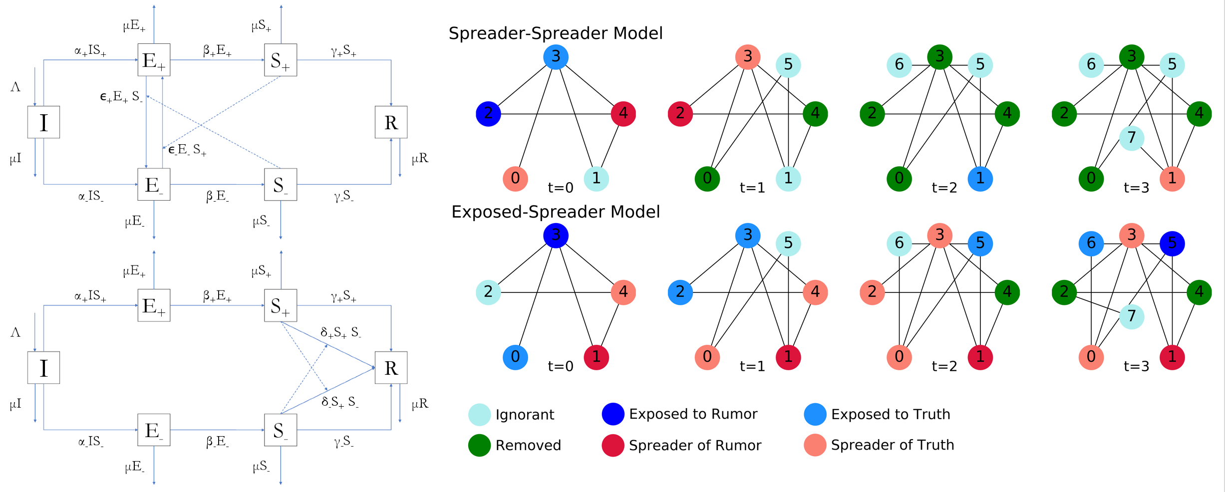 The system of ordinary differential equations and toy model representation of the Spreader-Spreader and Exposed-Spreader models.