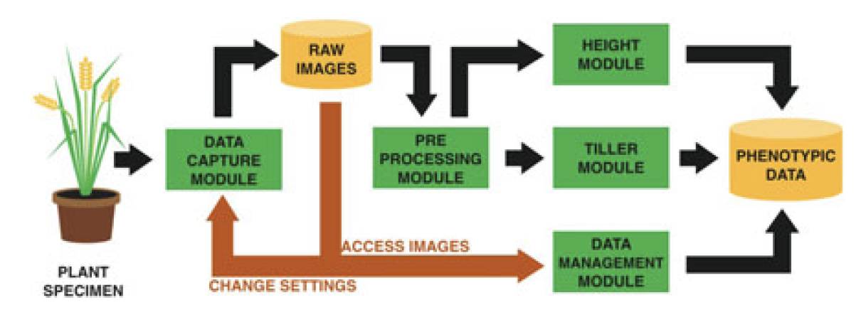 System architecture to identify height and tiller segmentation